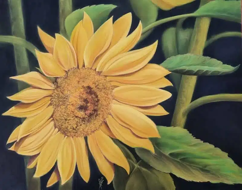 Le tournesol pastel Patricia Roy